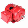 Marathon 125 Hp Fire Pump Motor, 3 Phase, 3600 Rpm, 460 V, 404Ts Frame, Odp U530A